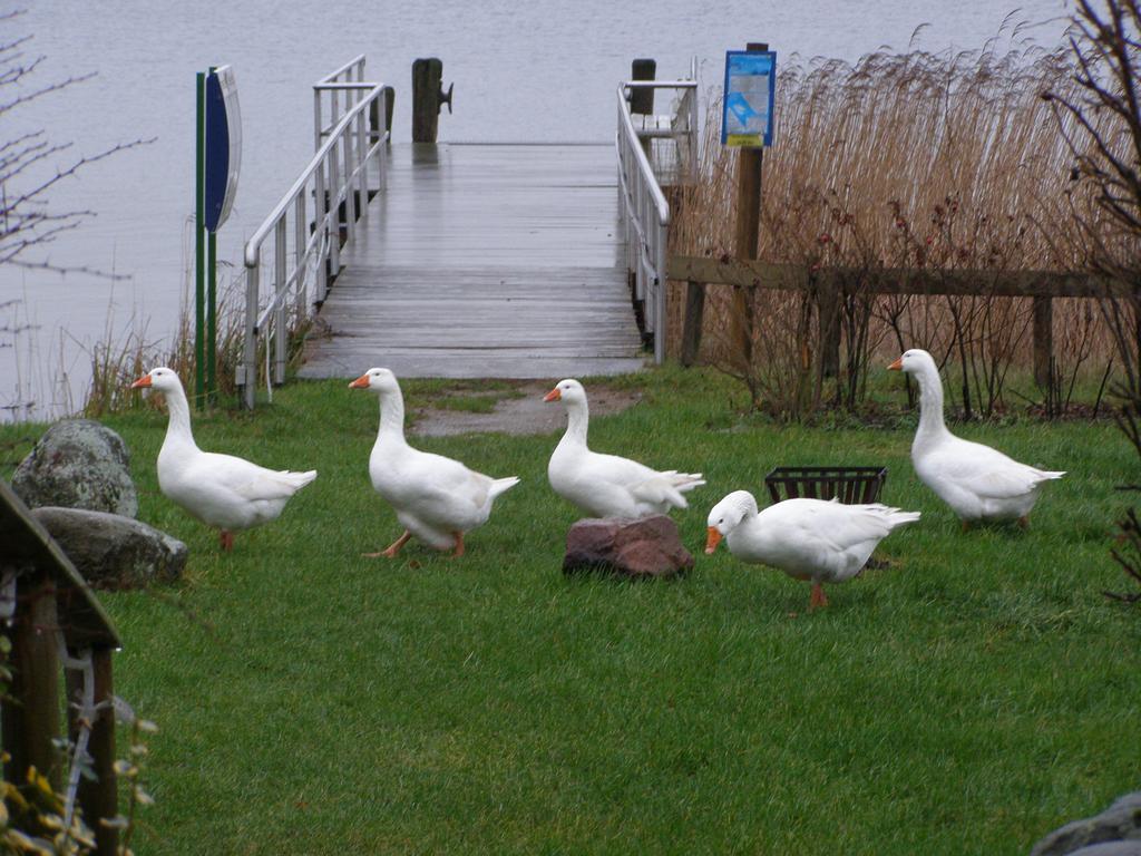 Hotel Faehrhaus Niederkleveez Bosdorf  Ruang foto
