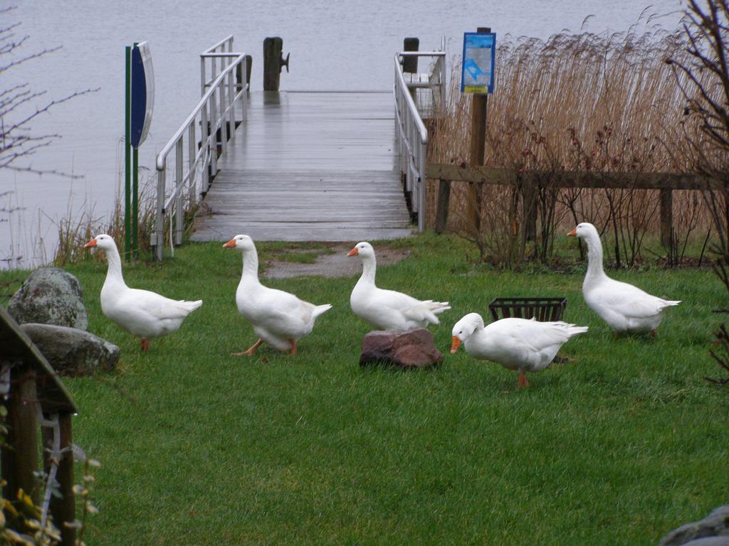 Hotel Fahrhaus Niederkleveez Bosdorf  Ruang foto